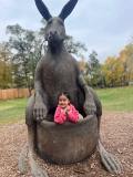 Lectura Montesorri Pre-K Room Brookfield Zoo Field Trip