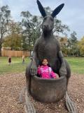 Lectura Montesorri Pre-K Room Brookfield Zoo Field Trip