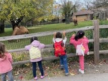 Lectura Montesorri Pre-K Room Brookfield Zoo Field Trip