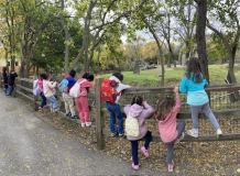 Lectura Montesorri Pre-K Room Brookfield Zoo Field Trip