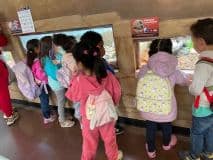 Lectura Montesorri Pre-K Room Brookfield Zoo Field Trip