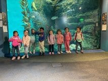 Lectura Montesorri Pre-K Room Brookfield Zoo Field Trip