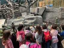 Lectura Montesorri Pre-K Room Brookfield Zoo Field Trip