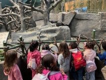 Lectura Montesorri Pre-K Room Brookfield Zoo Field Trip
