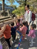 Lectura Montesorri Preschool Brookfield Zoo Field Trip