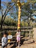 Lectura Montesorri Preschool Brookfield Zoo Field Trip