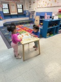 Sunshine Scholars